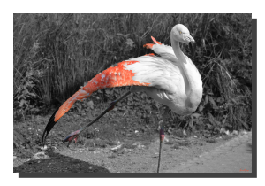 Flamingo 07. 18" x 12"