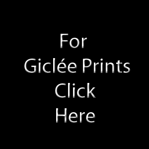 Giclée Prints