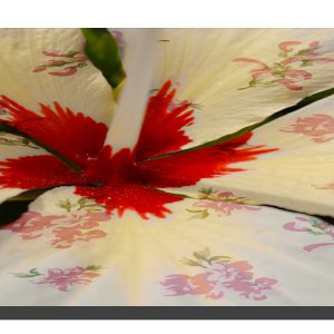 A cream hibiscus flower with a rose pattern on the petals. 30" x 10"