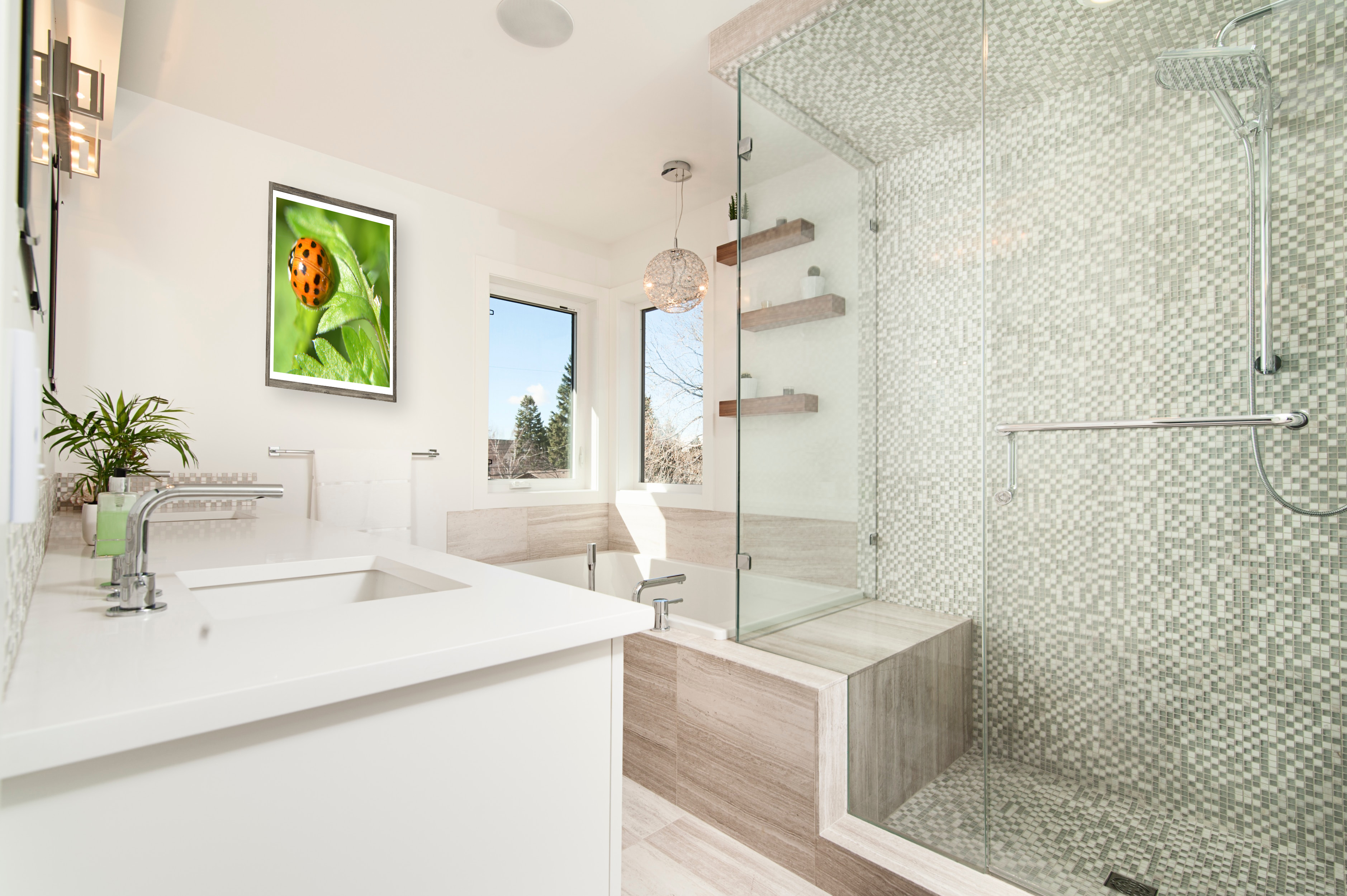 Ladybird_001_in_bathroom Ladybird 001 in bathroom.